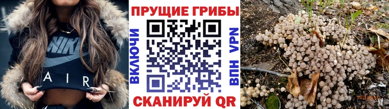 Псилоцибиновые грибы Magic Shrooms  Купить  Шагонар 